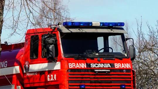 500 grisar döda i brand i Norge